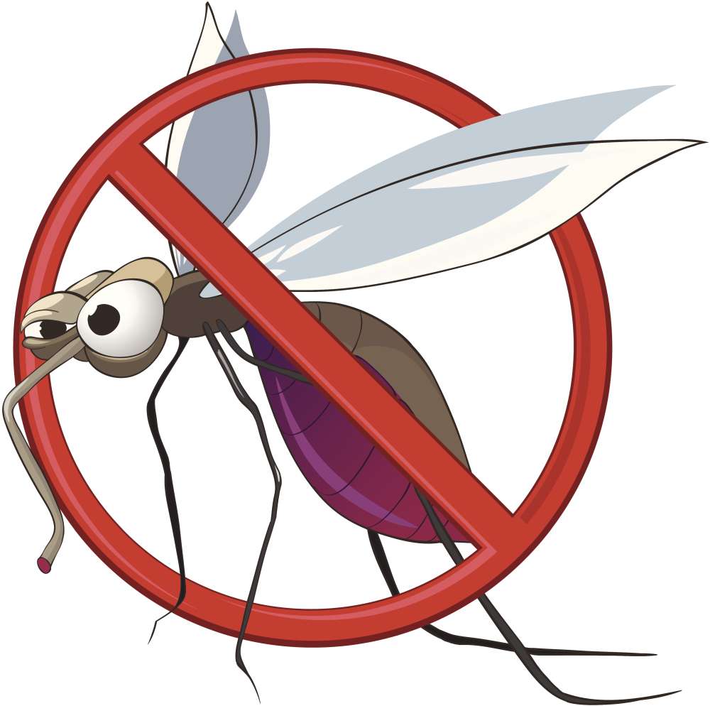 Hatékony segítség rovarok és kártevők ellen